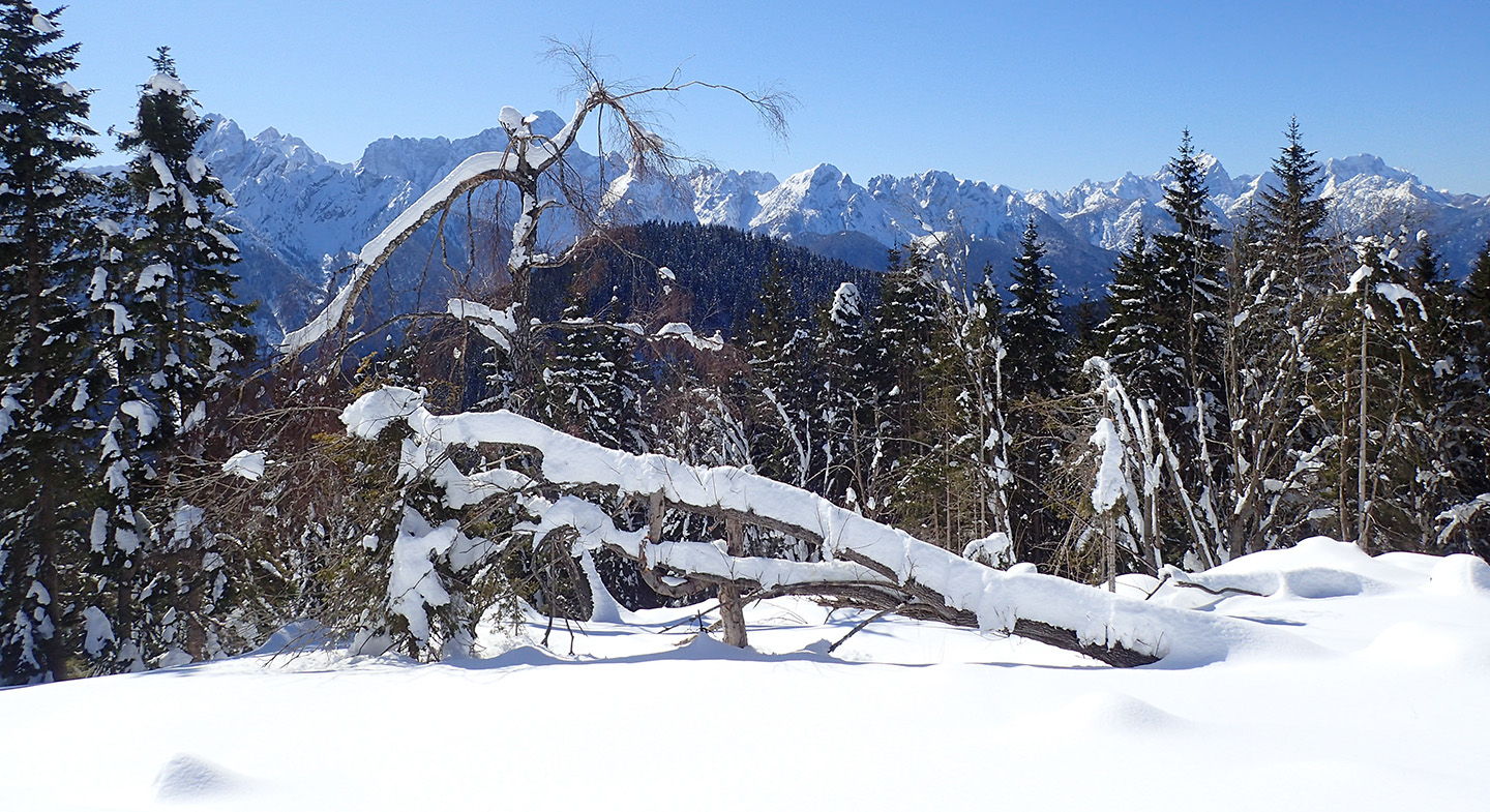 planinski zimski krajolik