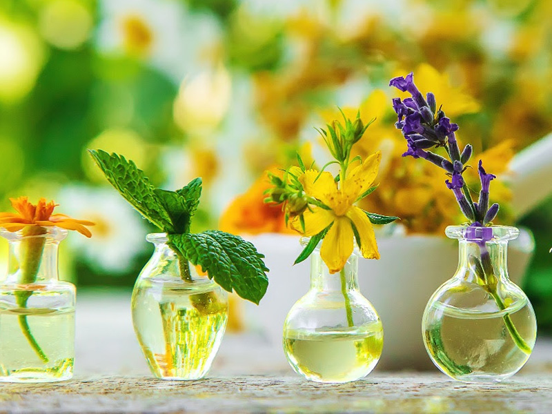 ljekovito bilje u staklenim posudama